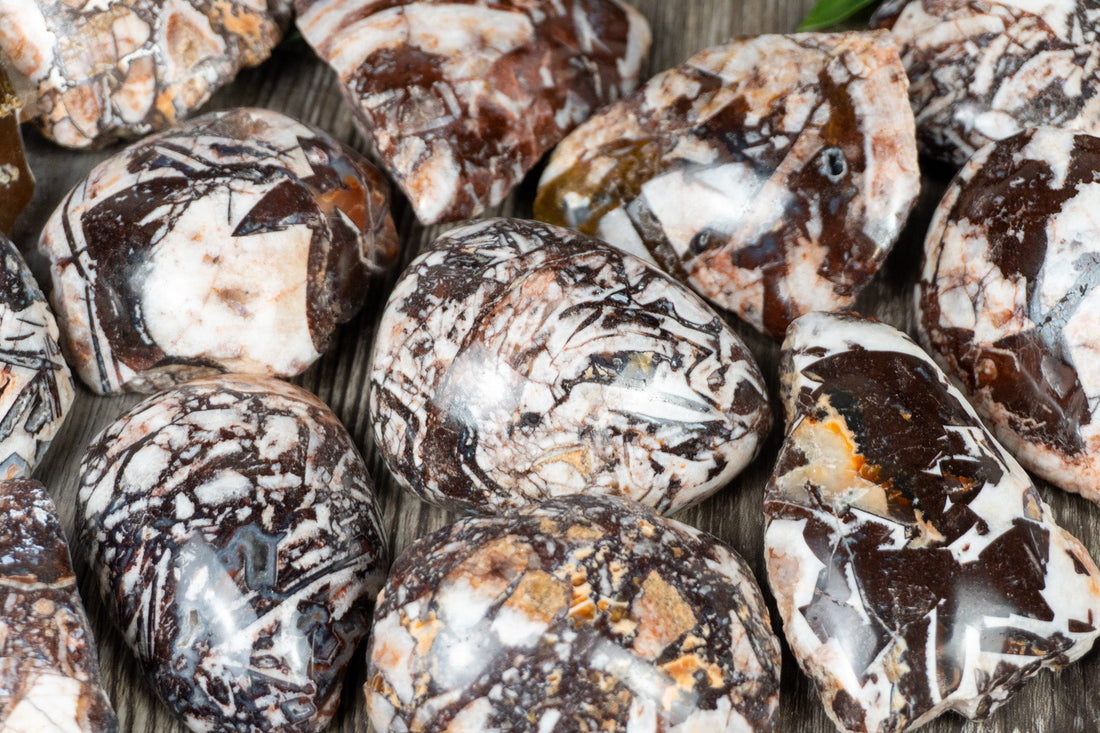 Breche Agate (Breccia Agate)
