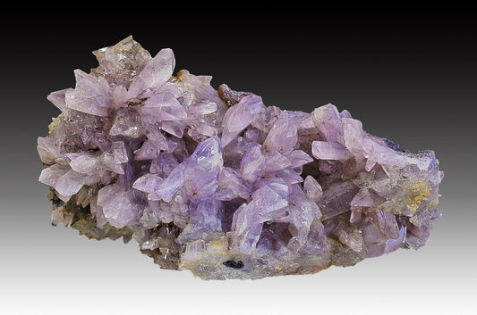 Creedite