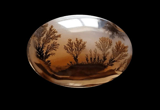 Dendritic Agate