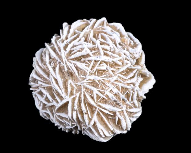 Desert Rose Selenite