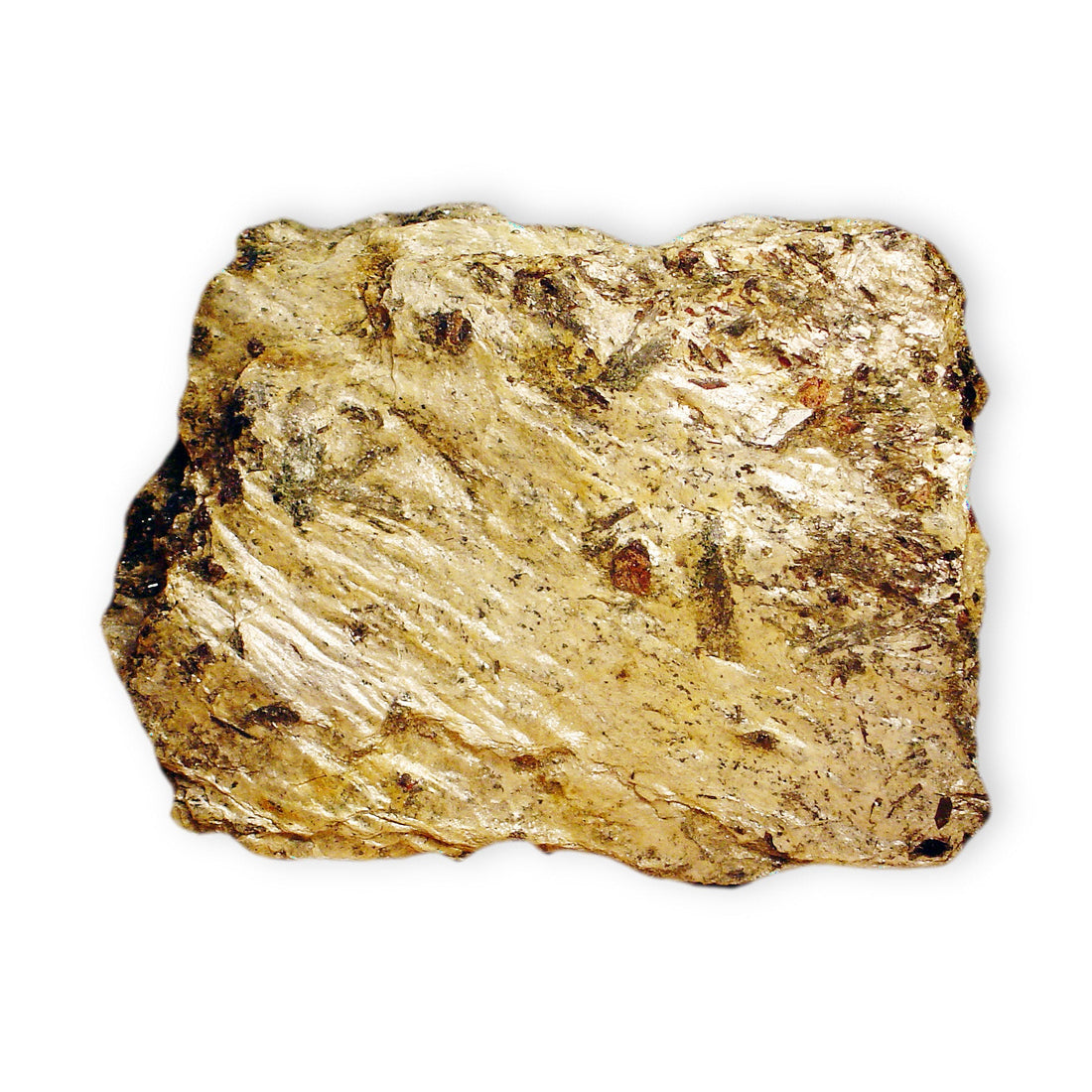 Paragonite