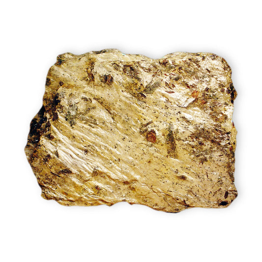 Paragonite