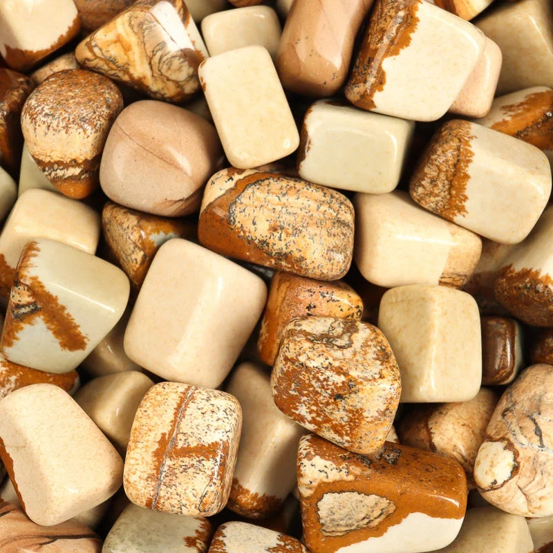 Picture Jasper