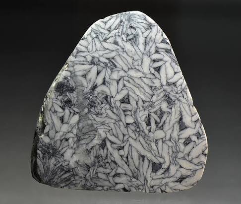 Pinolith (Pinolite)