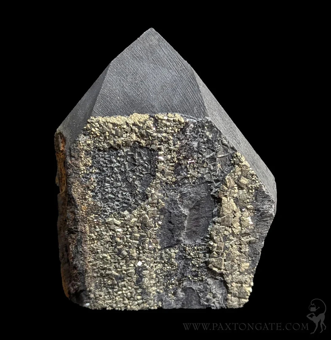 Pyrite on Shungite