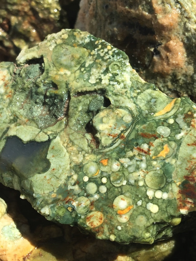 Rhyolite