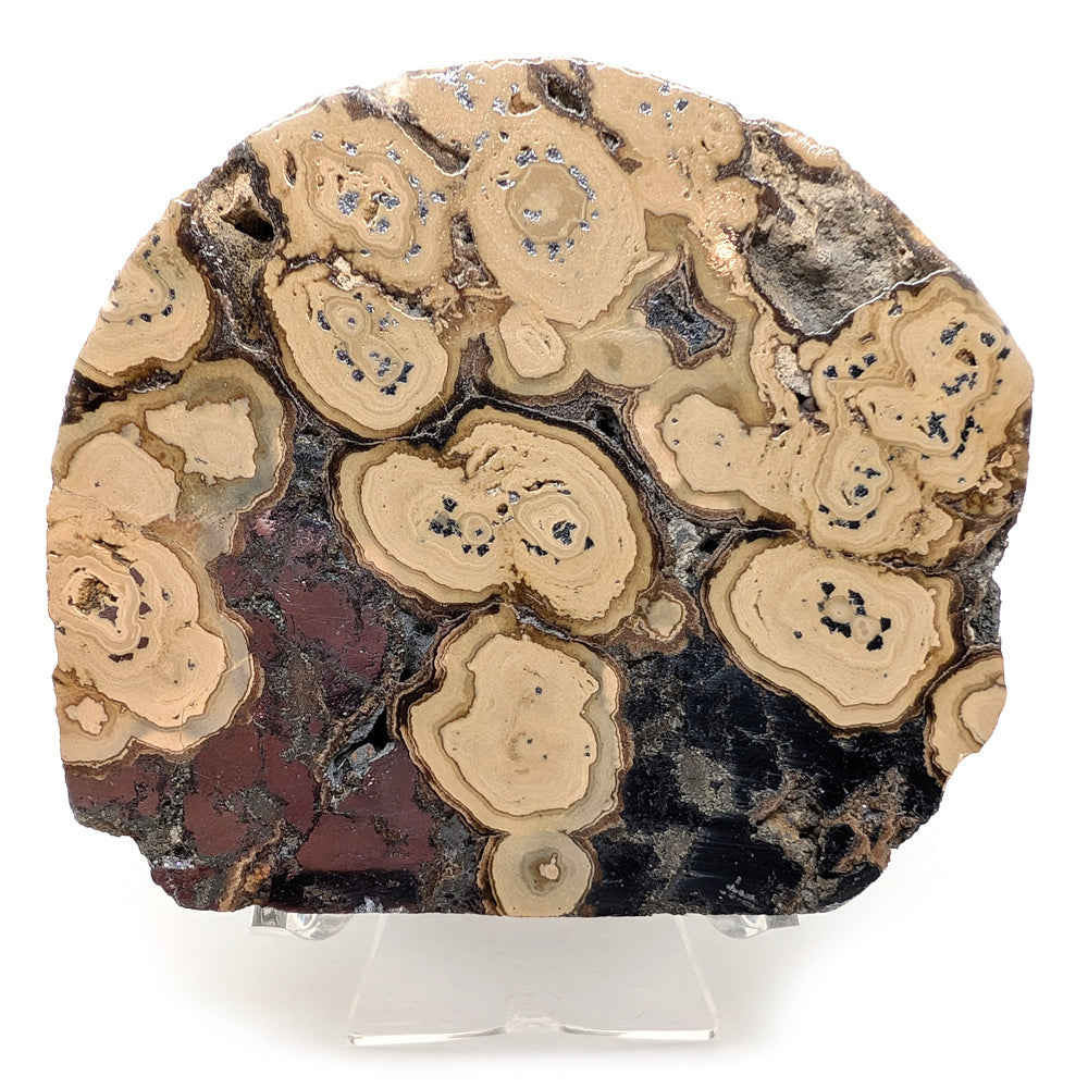 Schalenblende