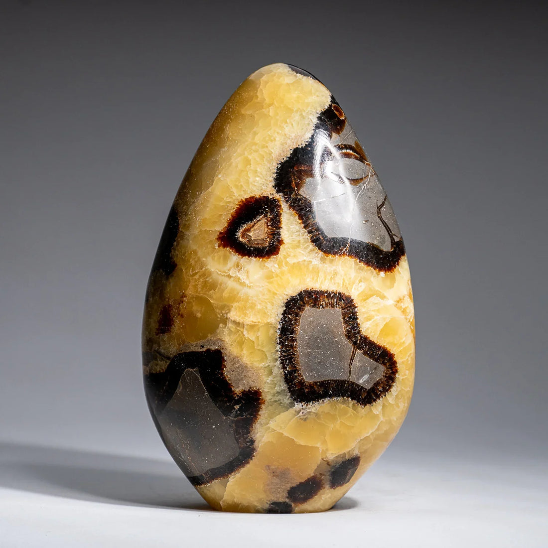 Septarian