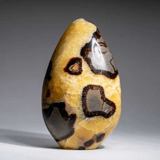 Septarian