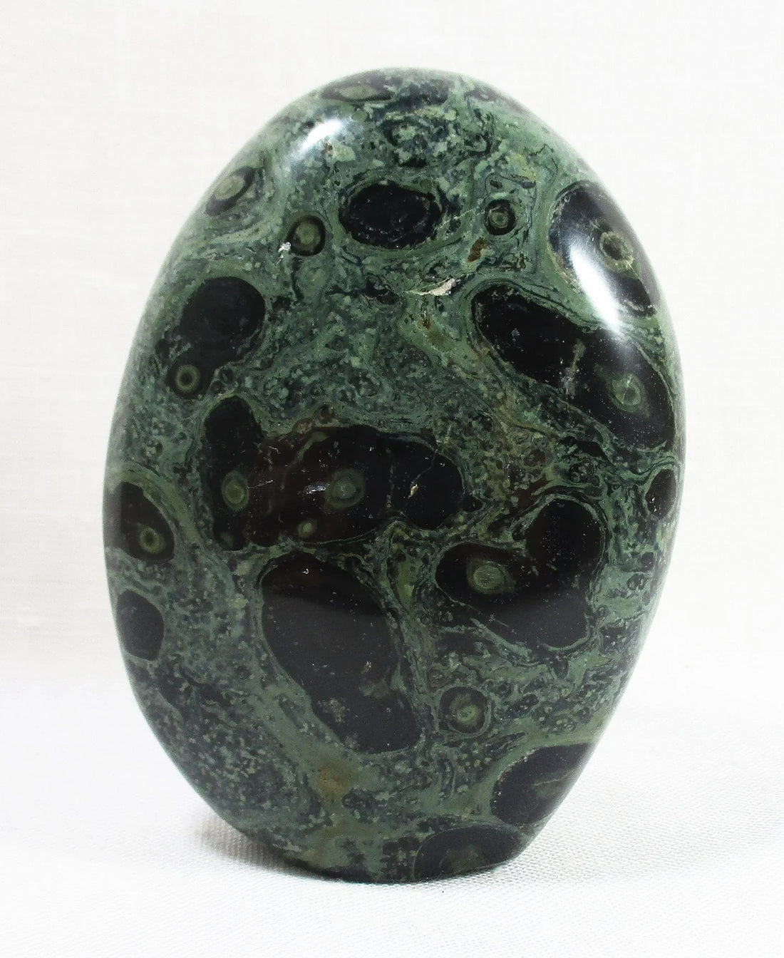 Kambaba Jasper