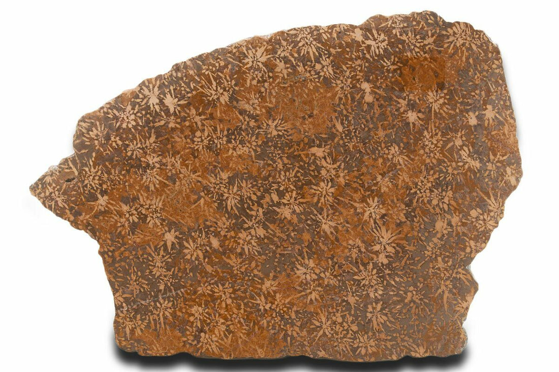Starburst Jasper