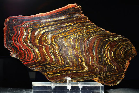 Tiger Iron