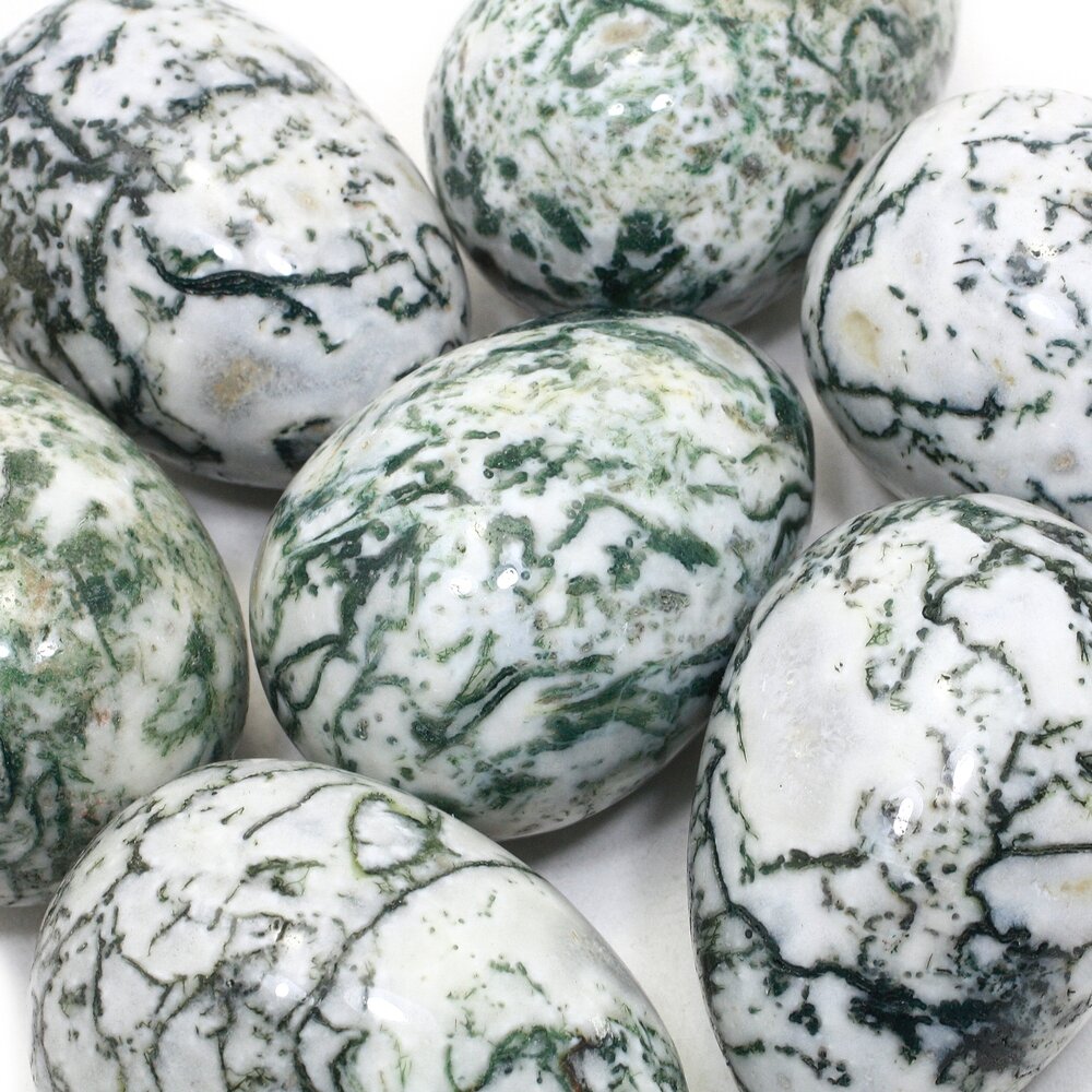 Tree Agate