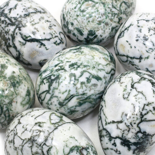 Tree Agate