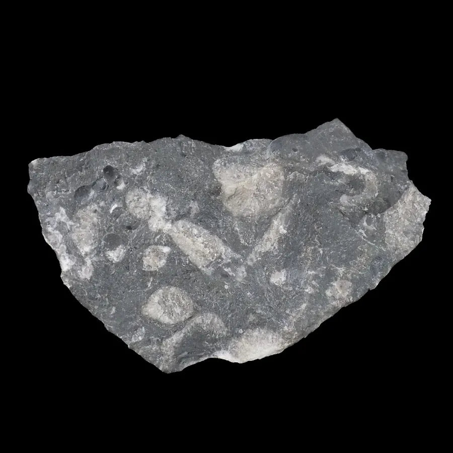Vatican Stone (Frosterley Marble)