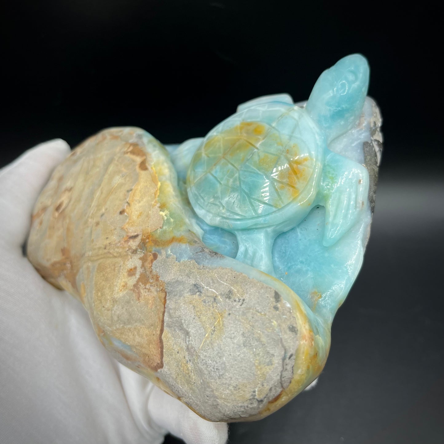 Amazonite Sea Creatures