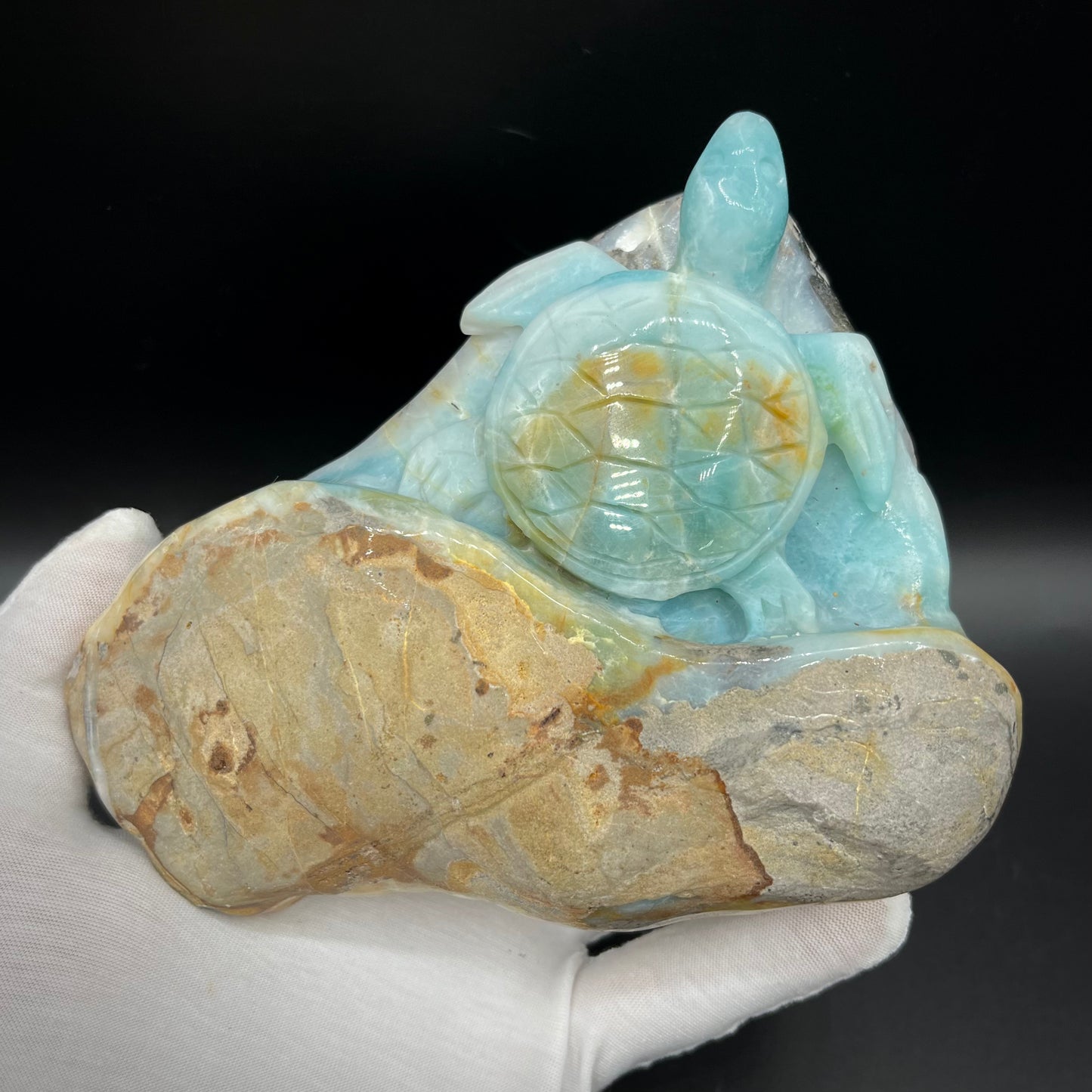 Amazonite Sea Creatures