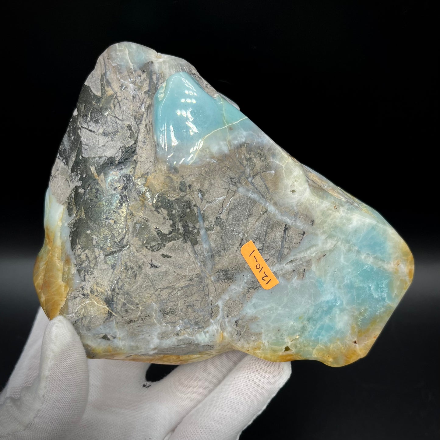 Amazonite Sea Creatures