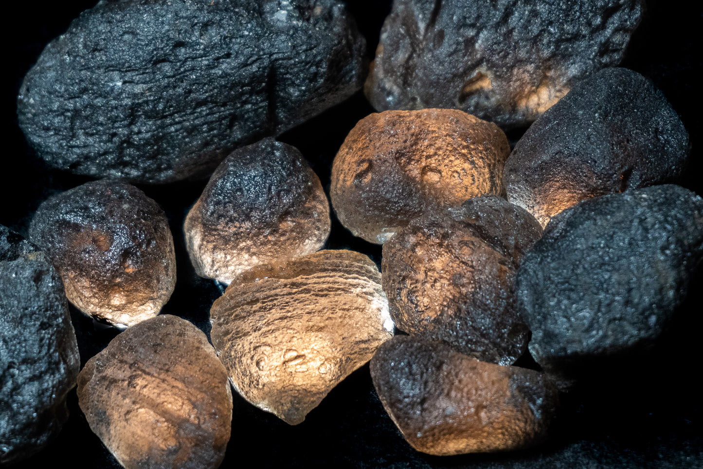 Agni Manatite Tumble