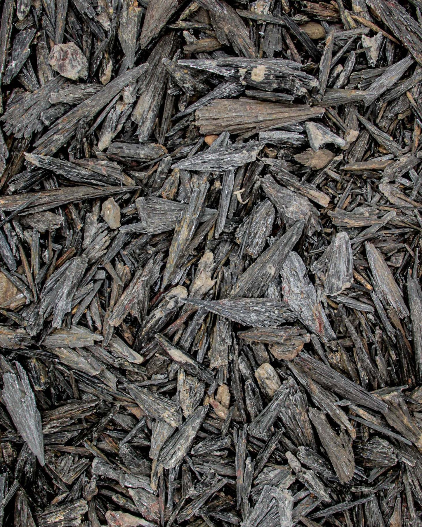 Black Kyanite Rough