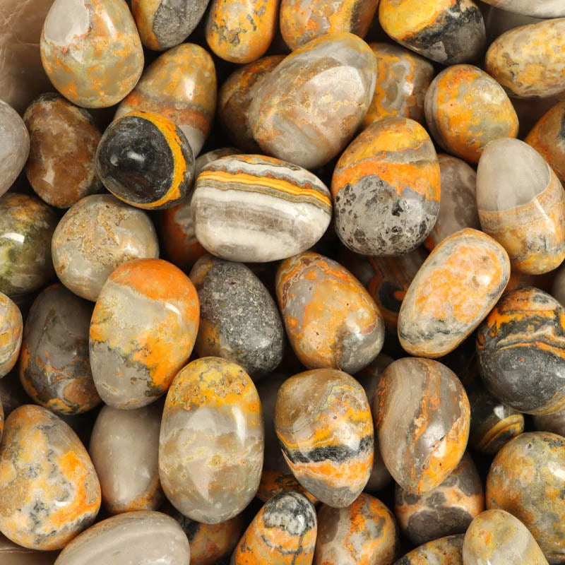 Bumblebee Jasper Tumble
