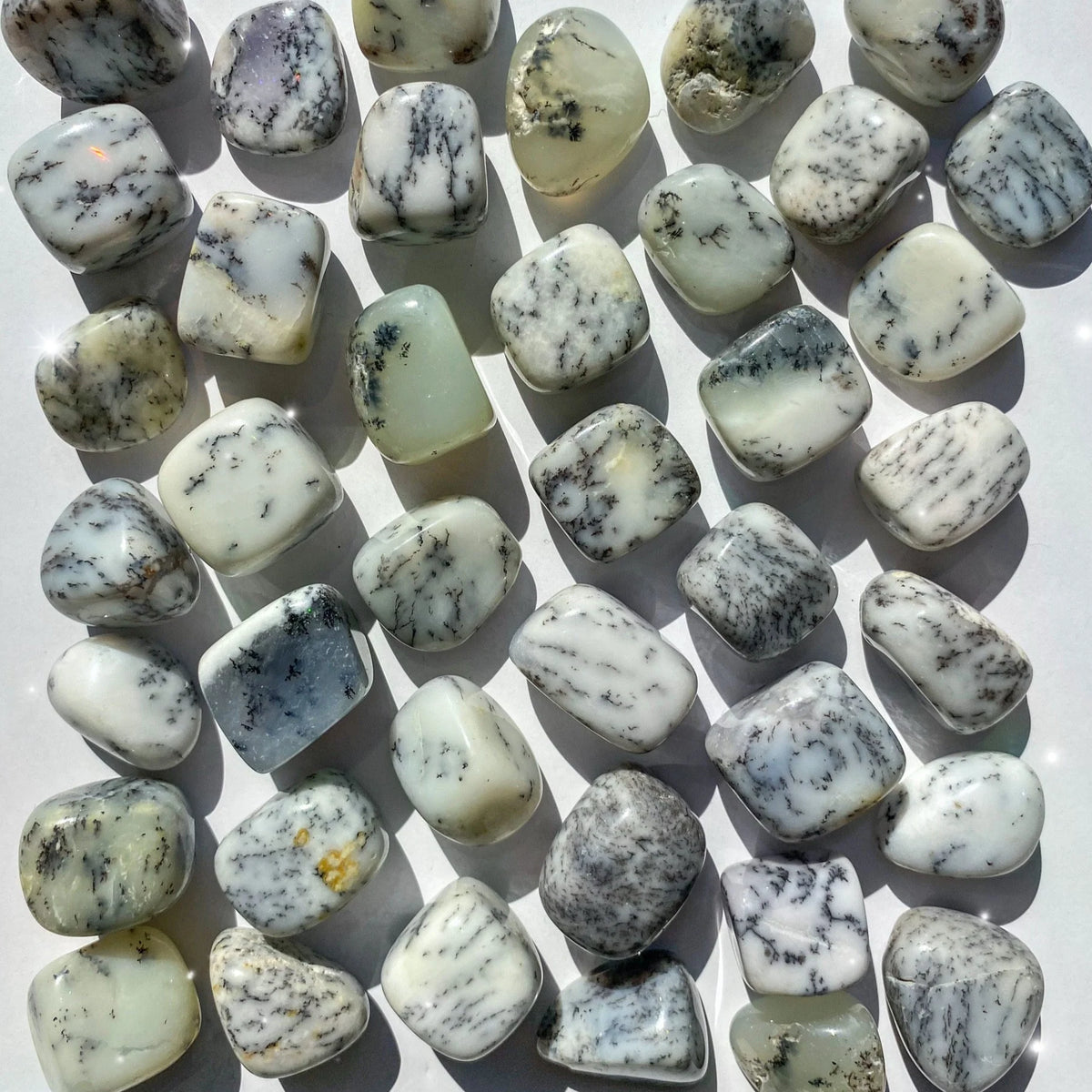 Dendritic Opal Tumble