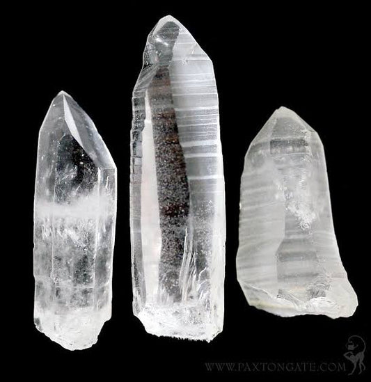 Lemurian Large Points Rough