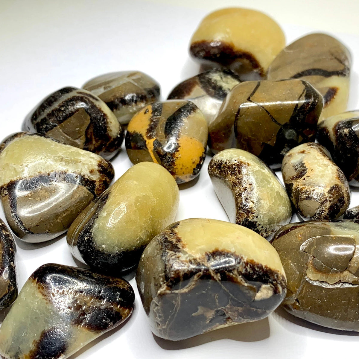Septarian Tumble