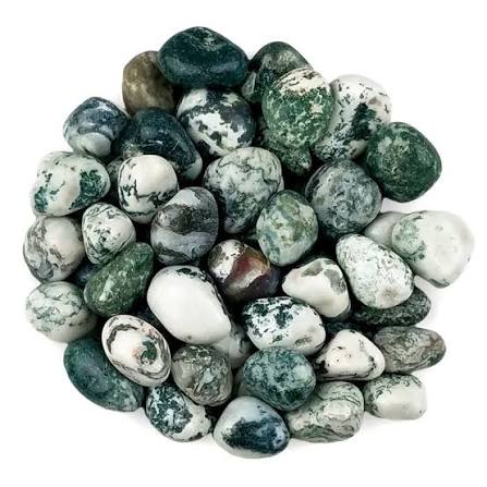 Tree Agate Tumble